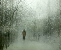 no name ( ID=2570898 ); comments:3