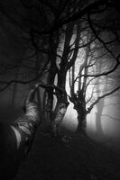 no name ( ID=2570922 ); comments:1