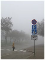 без име ( ID=2570932 ); Коментари:2