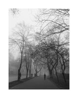 без име ( ID=2570933 ); Коментари:5