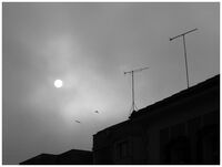 без име ( ID=2570951 ); Коментари:12