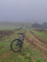 no name ( ID=2570972 ); No comments