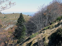 no name ( ID=2570985 ); comments:1