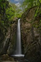 "Срамежливеца"; Коментари:1