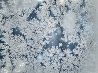 Снегът пристигна с Коледа... :); Коментари:9