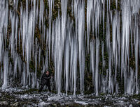 из Мадара-колегата в действие; comments:5