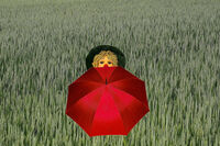 Клоунът; Коментари:1