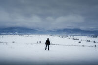 Още Малко; Няма коментари