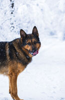 no name ( ID=2571119 ); comments:1