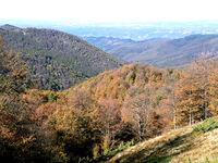 no name ( ID=2571126 ); comments:1