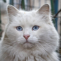 no name ( ID=2571168 ); comments:2