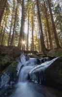 Ден 2-ри от астрономическата зима; No comments