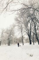 Разходка в снега; comments:3