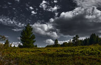 без име ( ID=2571177 ); Няма коментари