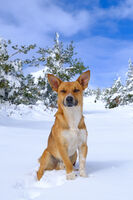 no name ( ID=2571180 ); comments:1