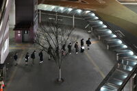 Подредено търпение; Коментари:1