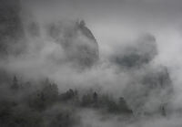 без име ( ID=2571225 ); Коментари:6