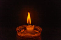 без име ( ID=2571255 ); Коментари:1