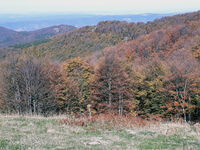 no name ( ID=2571348 ); comments:1