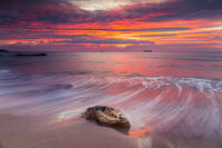 без име ( ID=2571383 ); Коментари:2