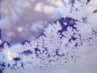 Зимно настъпление...; Коментари:1