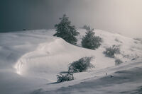 без име ( ID=2571397 ); Коментари:2