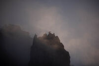 Лешояди; Коментари:2