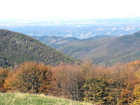 no name ( ID=2571489 ); comments:1