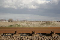 Крумово; Няма коментари