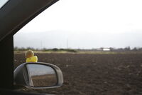 без име ( ID=2571536 ); Коментари:1