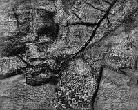 Страх; Коментари:19