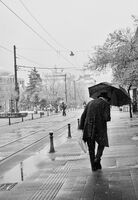 без име ( ID=2571593 ); Коментари:12