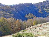 no name ( ID=2571614 ); comments:1