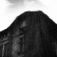 ..; Коментари:5