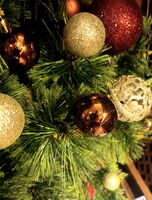 без име ( ID=2571649 ); Коментари:2