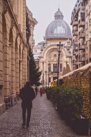 без име ( ID=2571685 ); Коментари:3