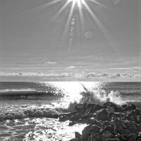 Вълна; Няма коментари