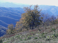 no name ( ID=2571708 ); comments:1