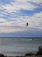 no name ( ID=2571749 ); comments:1