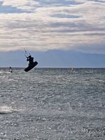 Полет; Няма коментари