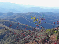 no name ( ID=2571768 ); comments:1