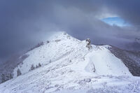 Ехо от Ехо; Коментари:5