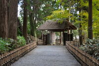 Входът към парка; Коментари:4