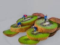 ***; Коментари:3