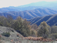 без име ( ID=2571856 ); Коментари:1