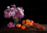 Да е цветна и успешна новата 2026 година; Коментари:42