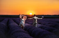 Свободна любов; Няма коментари