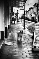 без име ( ID=2571909 ); Няма коментари