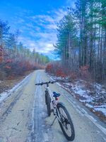 без име ( ID=2571916 ); Коментари:4