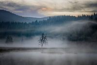 Мъгиво лятно утро; Коментари:6